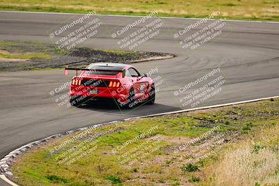 media/Feb-25-2024-Speed Ventures (Sun) [[b9a2a97a4d]]/Mustang Drivers Club/Session 1 (Turns 4 and 5)/